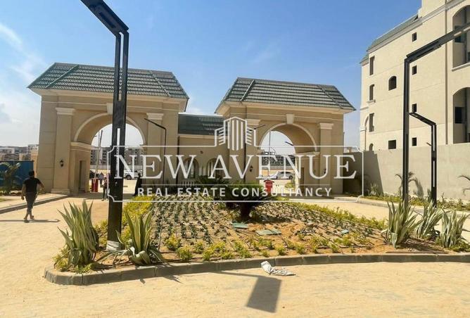 8161198 - Property Image 3