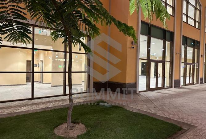 8129835 - Property Image 3