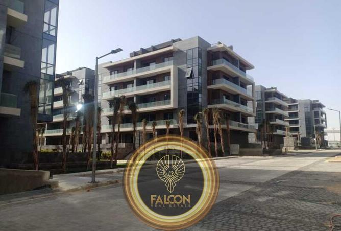 8456766 - Property Image 3