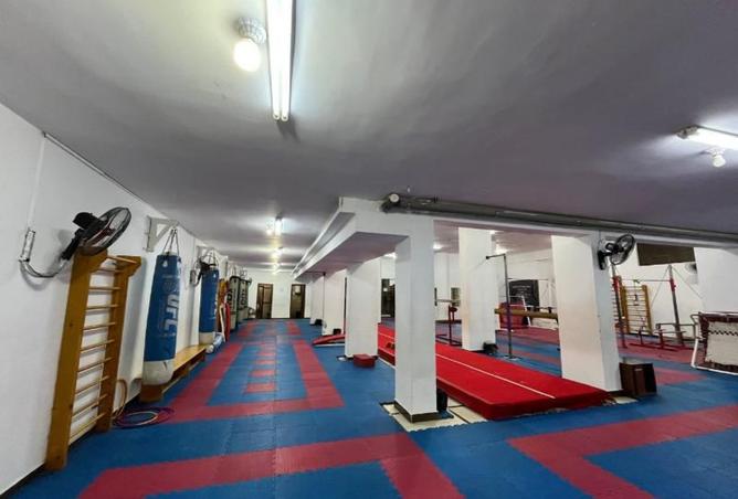 8144561 - Property Image 3