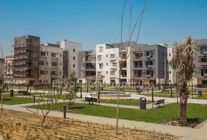 8195143 - صورة العقار 2