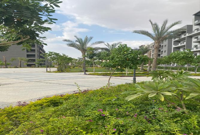 7974383 - Property Main Image