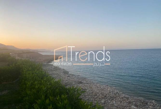 8074044 - صورة العقار 3
