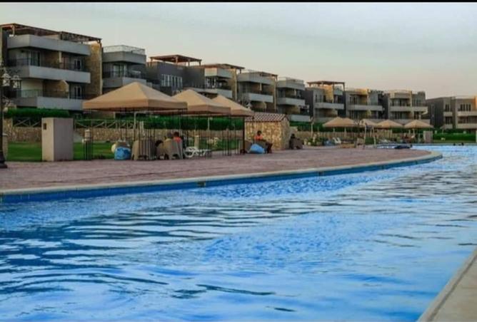 8113203 - Property Image 3