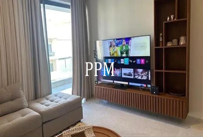 7982992 - Property Image 3