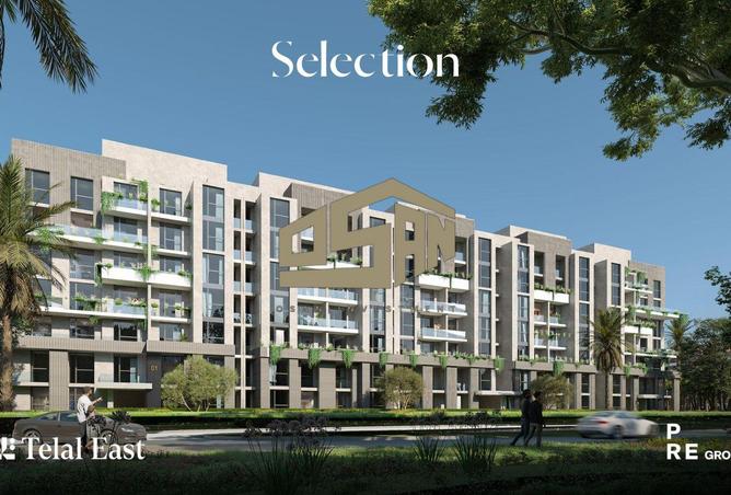 8558818 - Property Image 3