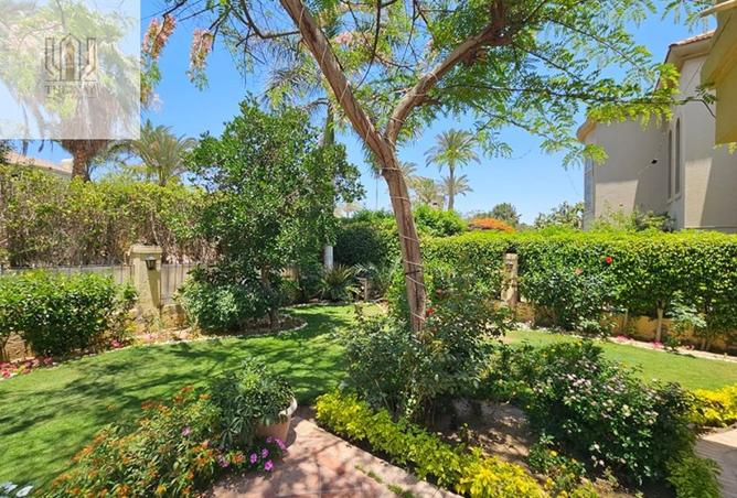 8003902 - صورة العقار 3