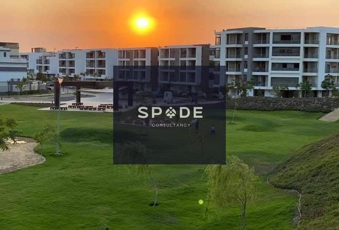 8343601 - صورة العقار 3