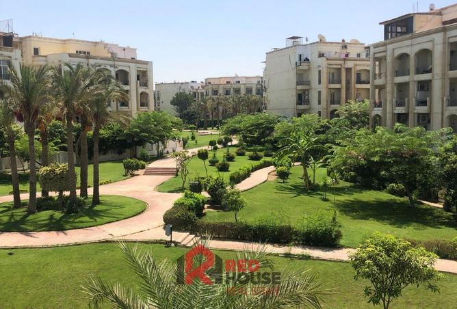 8403421 - Property Image 2