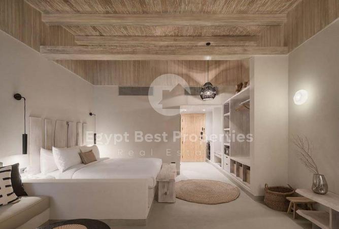8012426 - Property Image 3