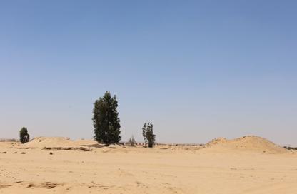 Land - Studio for sale in Green Belt - 6 October City - Giza