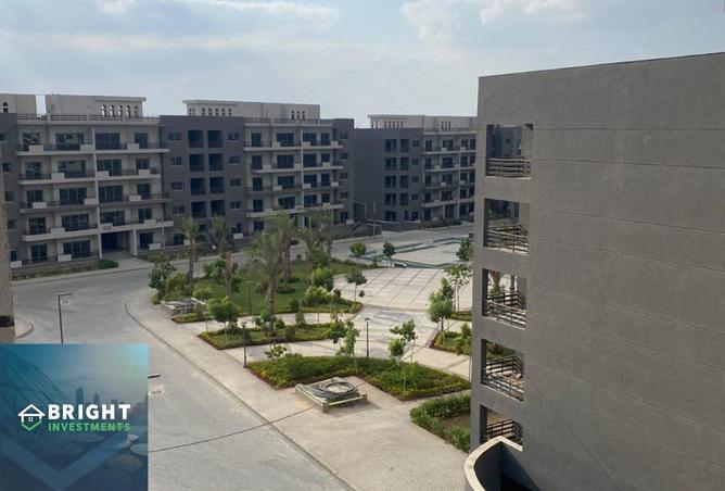 8436159 - Property Image 3