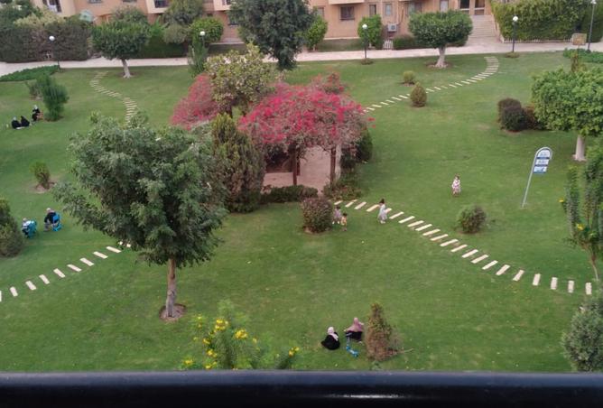 8528083 - صورة العقار 3