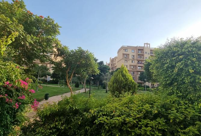 8250400 - صورة العقار 2