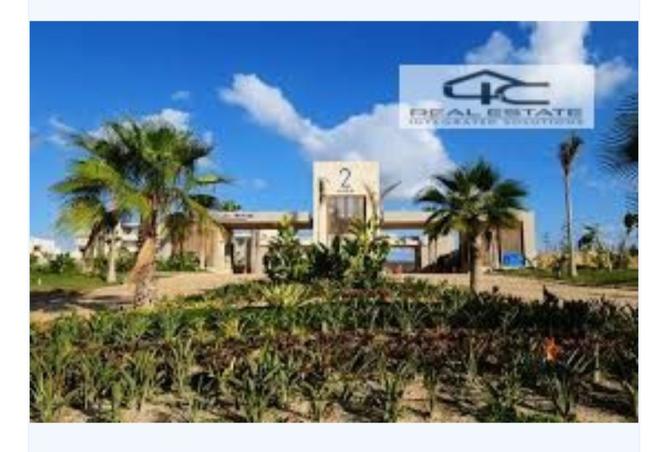 8337978 - Property Image 3