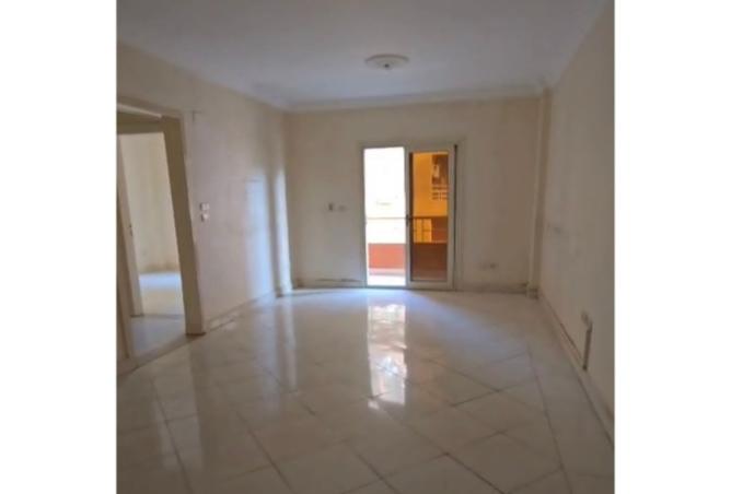 8120593 - Property Image 2