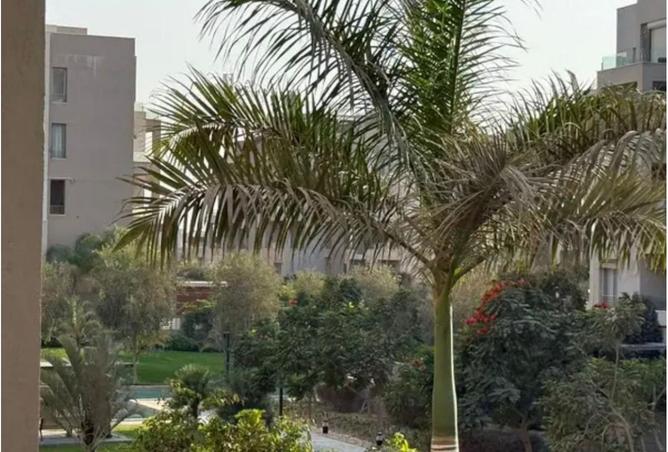 8420062 - Property Image 3