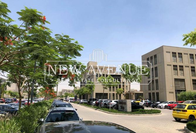 7972015 - Property Image 3