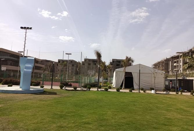 7921470 - صورة العقار 3