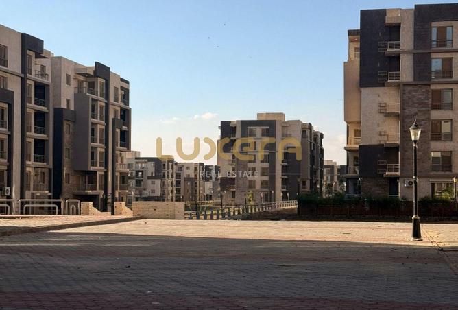 8336374 - Property Image 3