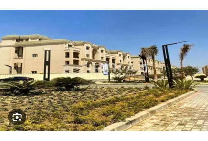 8273264 - Property Image 3