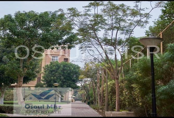 7991605 - صورة العقار 3