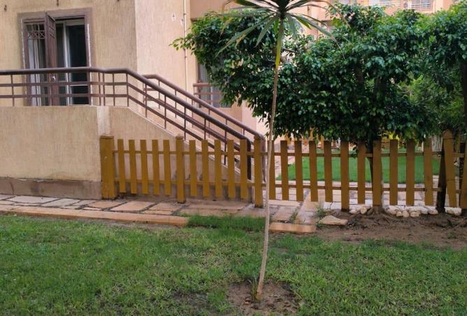 8167347 - Property Image 3