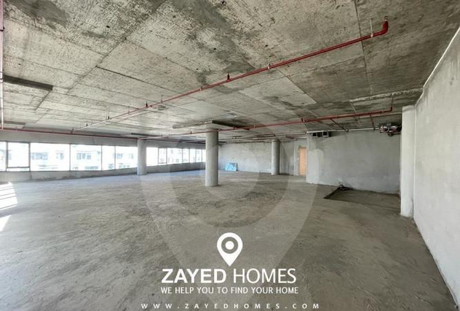 8025748 - Property Image 3