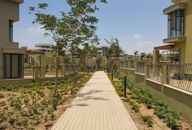 7960870 - صورة العقار 3