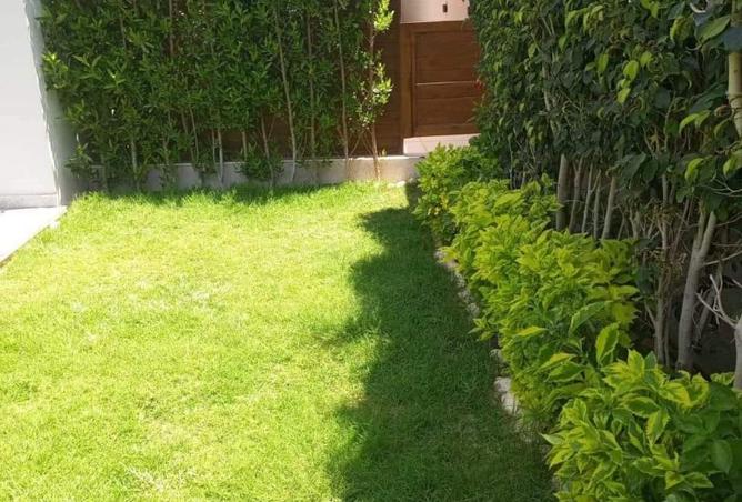 8403937 - Property Image 3