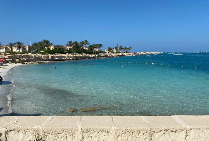 7955088 - صورة العقار 3