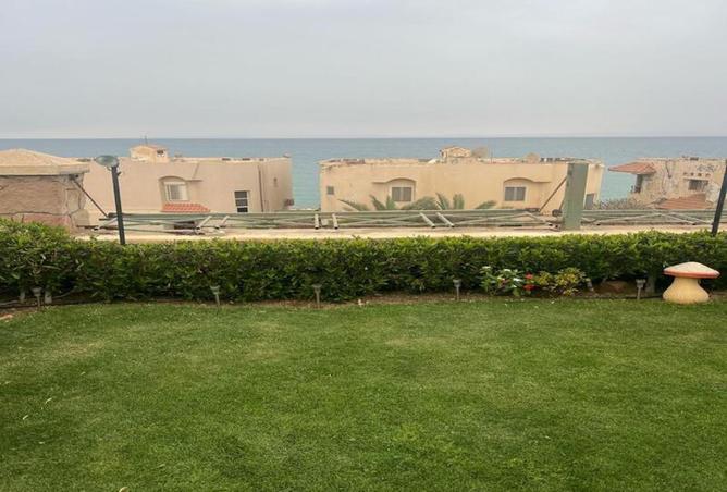 7908571 - صورة العقار 3