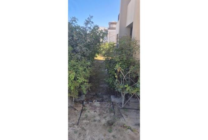 7908838 - صورة العقار 2