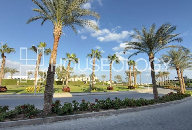 8423587 - صورة العقار 3