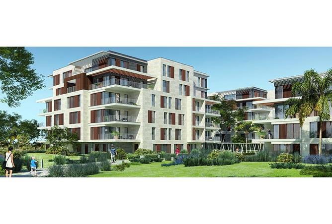 7978987 - Property Image 3