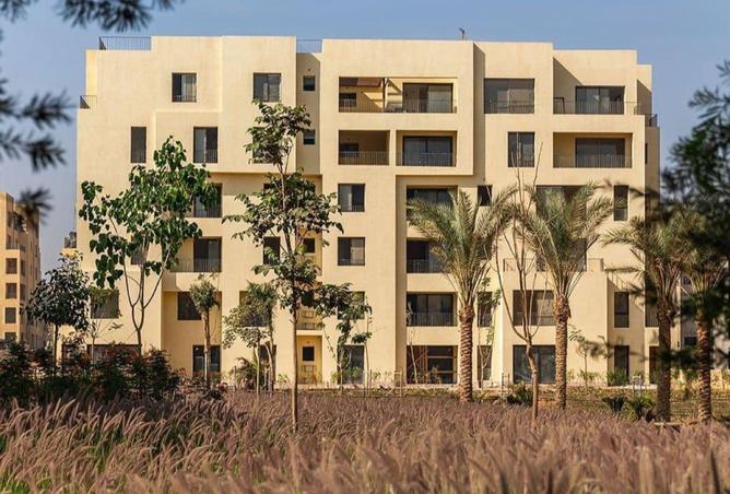 8222982 - صورة العقار 2