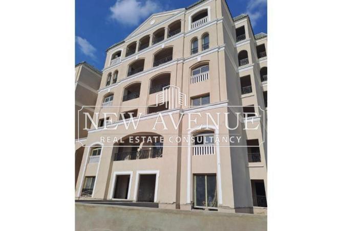 8347676 - Property Image 3