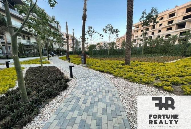 8339960 - Property Image 3