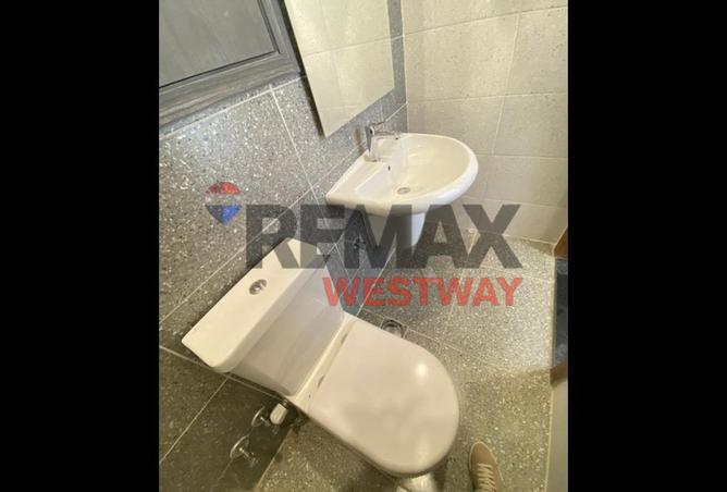 8386225 - Property Image 3