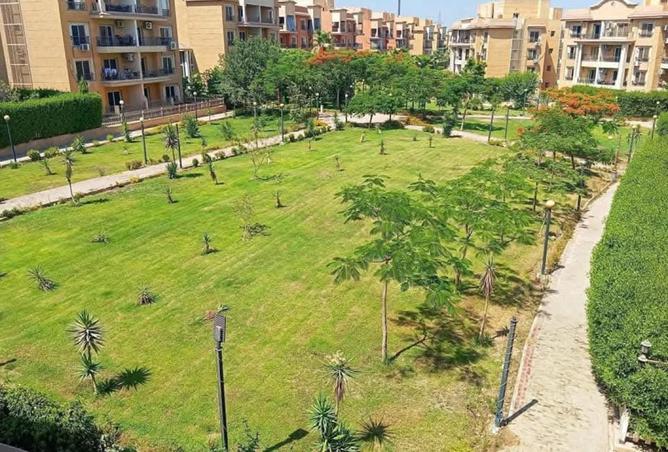7965695 - صورة العقار 2
