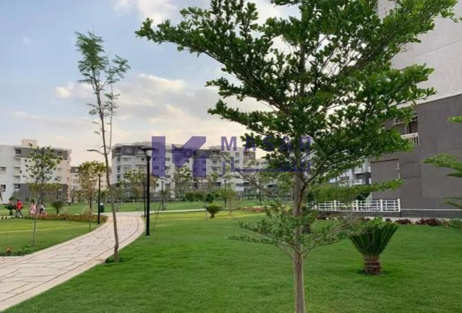 8121040 - صورة العقار 3