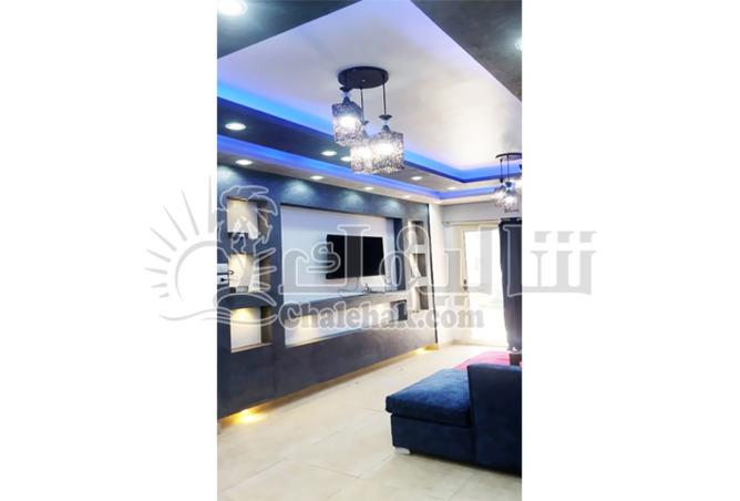 7999825 - Property Image 3