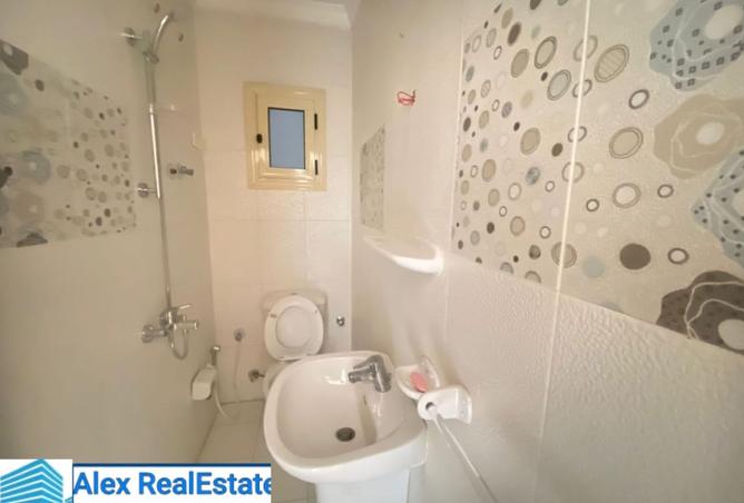 8440658 - Property Image 2