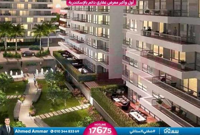 8439997 - Property Image 2