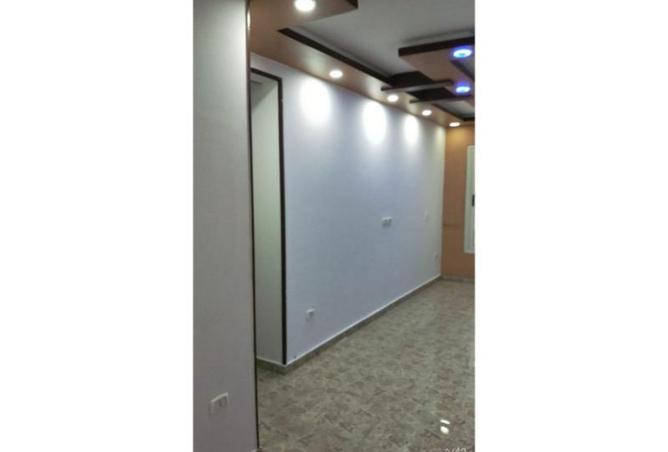 8452423 - Property Image 3