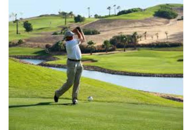 8456262 - صورة العقار 3