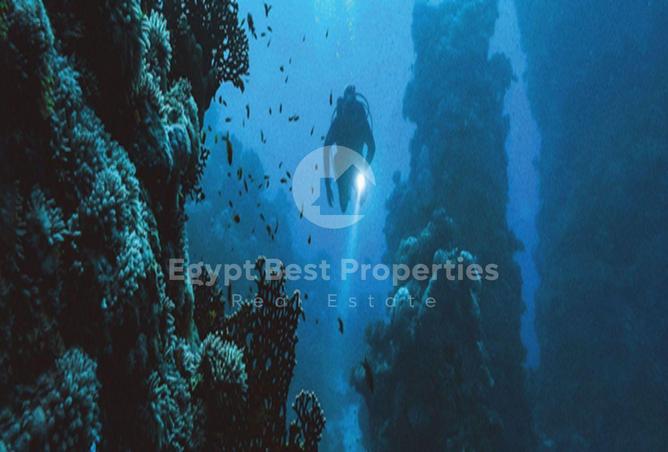 8403189 - صورة العقار 3