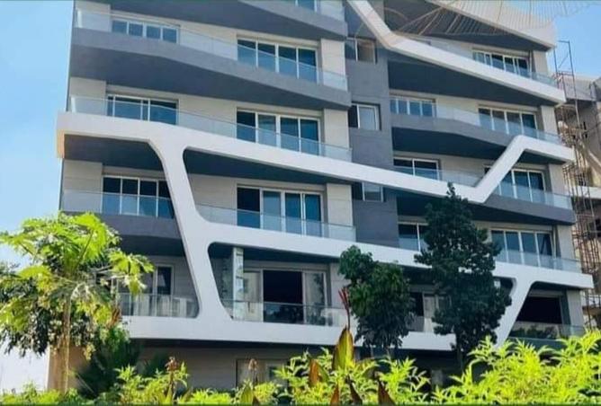 8132903 - Property Image 3