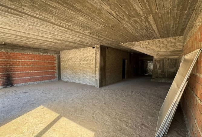 8156825 - صورة العقار 3