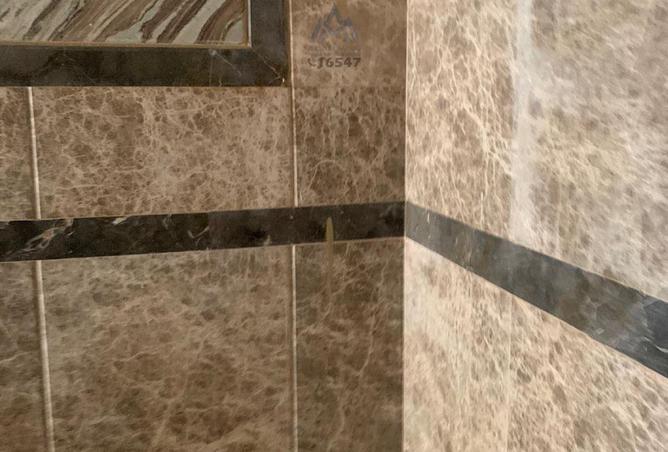 8097244 - Property Image 3